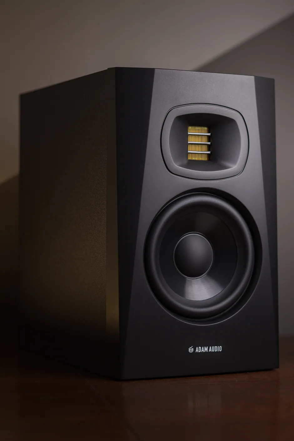 Premium loudspeaker close-up
